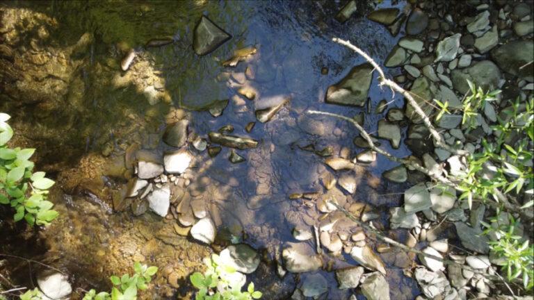 Psychoterapia Bieszczady Justyna Wojciechowska Psychologia procesu Góry