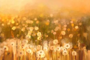 Justyna Wojciechowska Psychoterapia Bieszczady Psychologia procesu Psycholog